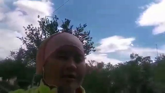 Раздаю заказы/прогулка смотреть онлайн