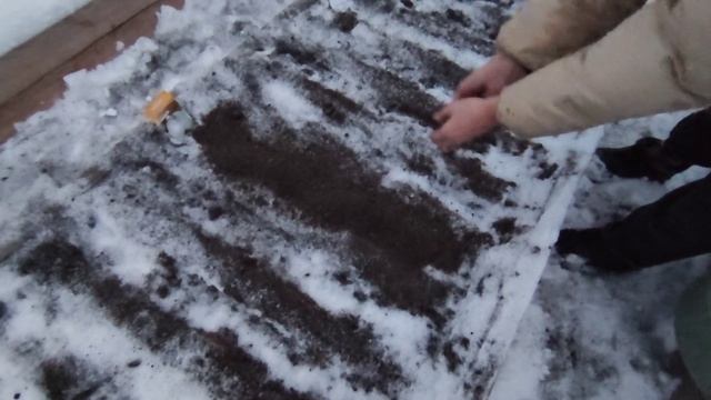 КАК ПОСАДИТЬ ЛУК СЕВОК И ЧЕРНУШКУ ПОД ЗИМУ?! ЧТО МОЖНО ПОСЕЯТЬ В ЗИМУ!