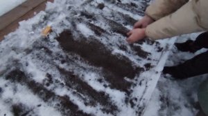 КАК ПОСАДИТЬ ЛУК СЕВОК И ЧЕРНУШКУ ПОД ЗИМУ?! ЧТО МОЖНО ПОСЕЯТЬ В ЗИМУ!