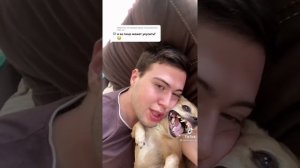 парень и чихуахуа 😂