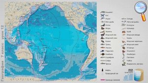 География 7 класс (Урок#12 - Тихий океан.)