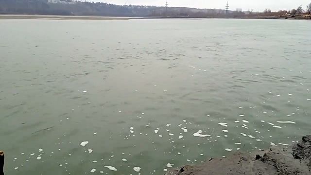 Ловля налима 2 места где обитает налим осенью. Где искать и найти Тропу налима на реке осенью?
