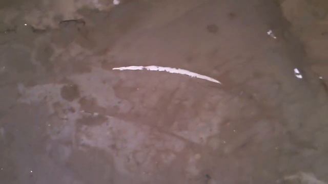 ЗАЛИВКА ТЕПЛЫХ ПОЛОВ В ЧАСТНОМ ДОМЕ ВТОРАЯ СТЯЖКА ЧАСТЬ 2 смотреть онлайн