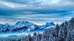 Что делать, если вы ошиблись во время намаза?