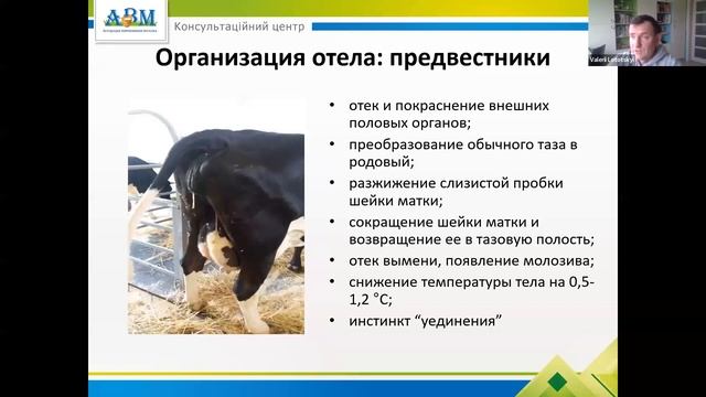 Контроль транзитного периода