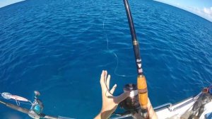 Hawaii's Monster Inshore Fish ( Ulua ) - Two In One Day!