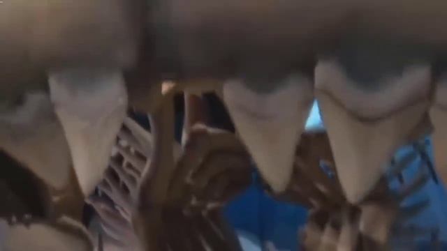 ТОП 7 НЕРЕАЛЬНО ГИГАНТСКИХ ЖИВОТНЫХ смотреть онлайн