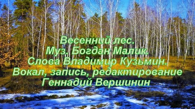 Весенний лес..Муз. Богдан Малик. Слова Владимир Кузьмин. Вокал, запись Геннадий Вершинин.mp4 смотреть онлайн