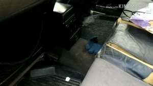 Audi 100 c3 Quattro Купил живую