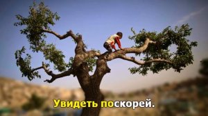 Закхей Под небом синим синим