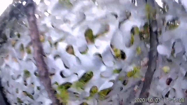 #ОХОТА НА ГУСЯ#ЛУЧШИЕ НАРЕЗКИ УШЕДШЕГО СЕЗОНА ОСЕНЬ 2020 # смотреть онлайн