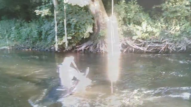 C1 Offset Technique James Gibbons C1 смотреть онлайн