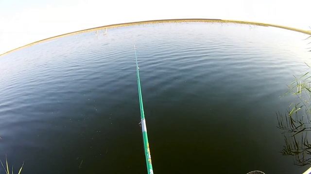 КАРАСЬ ОБОРВАЛ СНАСТЬ. ЛОВЛЯ КАРАСЯ НА ПОПЛАВОЧНУЮ УДОЧКУ. оз.Стерлитамак смотреть онлайн