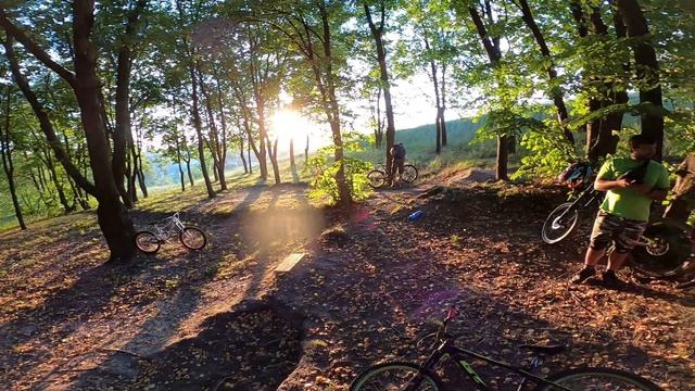 УПАЛ на ВЕЛИКЕ ЧТОБЫ не СБИТЬ СОБАКУ?! смотреть онлайн