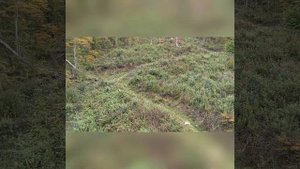Канатная дорога Адыгея