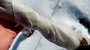 Сломалась Ветка🍇ЕЖЕВИКИ. Не знаю чем Ежевики помочь.😒 18 февраля 2023г.💖