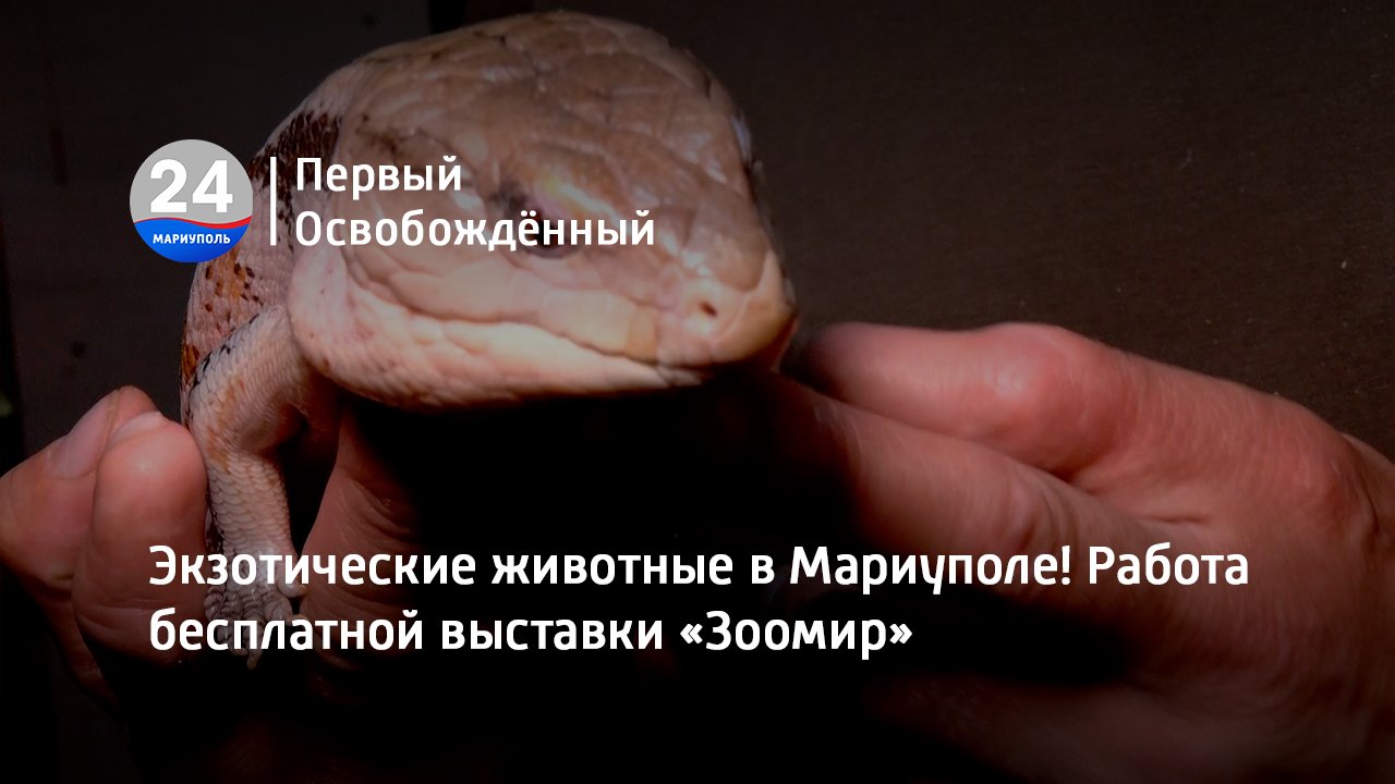 Экзотические животные в Мариуполе! Работа бесплатной выставки «Зоомир». 30.06.2023
