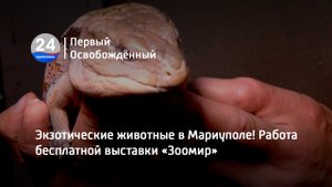 Экзотические животные в Мариуполе! Работа бесплатной выставки «Зоомир». 30.06.2023
