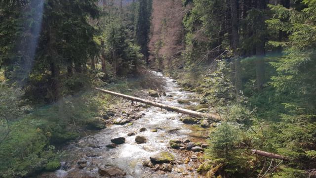 pustka - Andrzej Kowalski смотреть онлайн