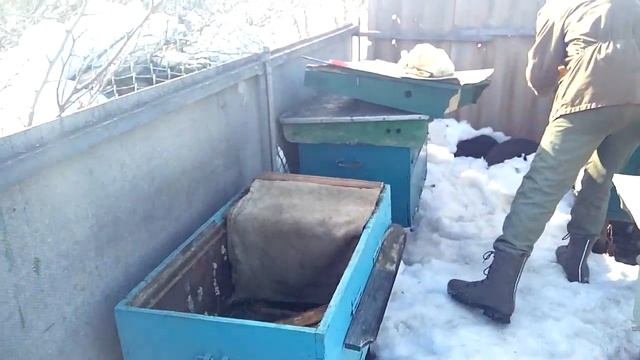 Ленивый пчеловод.Зимовка пчёл без утепления и заморочек № 3(2019) смотреть онлайн