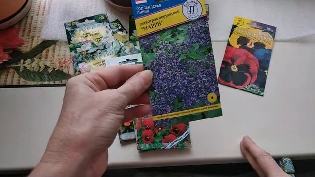 ЧТО ПОСЕЯТЬ В ФЕВРАЛЕ? смотреть онлайн