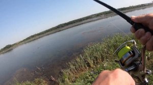 Рыбалка на Линя. Ловля Крупных Линей на Гороховую Мастырку. Флет