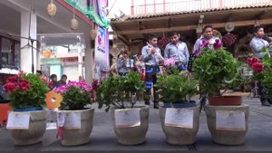 Cotija Cotija Tingambato Feria del Geranio 2016 “Marinos Mexicanos”