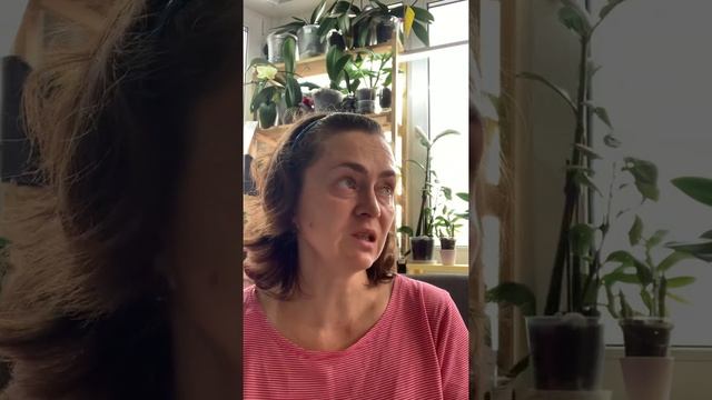 Полив в межсезонье и зимой