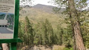 Экологическая тропа