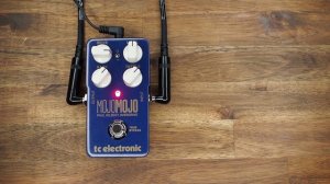 TC Electronic MojoMojo Paul Gilbert Overdrive - Sound Demo (no talking)