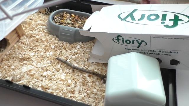 мой новый питомец #хомячок . Заселение. Обустраиваем домик для хомяка. смотреть онлайн