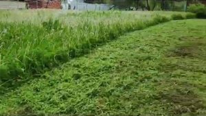 Бурьянокосилка ТС 1000 (без сьемного щитка) Видео от клиента