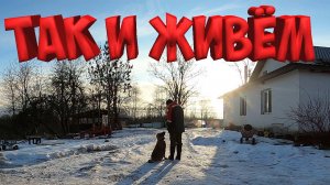 ЖИЗНЬ НА ХУТОРЕ БЕЗ СОСЕДЕЙ , СРЕДИ ЛЕСА И ЖИВОТНЫХ ! ПСКОВСКАЯ ОБЛАСТЬ ! КАК ЛЮДИ ЖИВУТ !