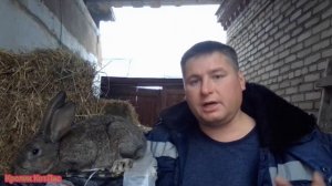 Какие ВЕТКИ НЕЛЬЗЯ давать кроликам.Почему некторые ветки нельзя давать кроликам.