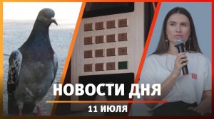 Новости Уфы и Башкирии 11.07.24: птицы мира, камеры «Уфанет», трагедии на воде