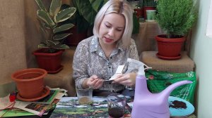 определение химического состава почвы