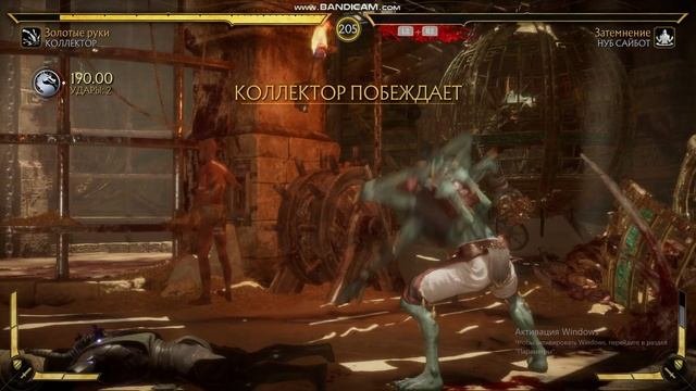 коллектор