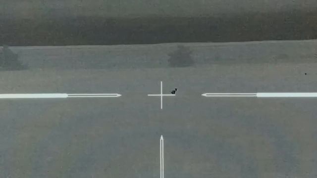 Best Thermal Coyote Hunting Footage with the Trijicon IR Hunter MKIII 60mm смотреть онлайн