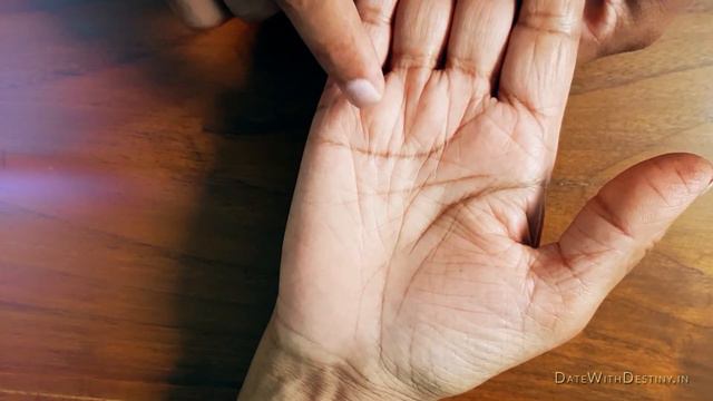 Palmistry Reading Demonstration - Basic Hand Analysis for Beginners (11/12) смотреть онлайн