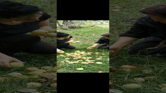 Карточка видео
