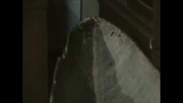Клуб Кинопутешествий Сахалин начало 1980-х