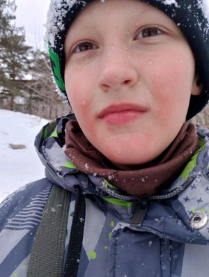 голубь срет