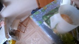 КАК МАКСИМАЛЬНО БЫСТРО НАБРАТЬ ВЕС? Советы для худых и начинающих качат!