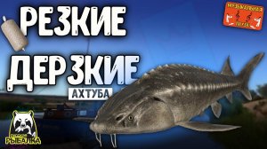 РР4/ рыбалка для души, ловим как универсал, общаемся 30.09.23