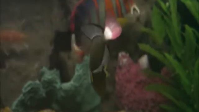 Мудрец Йога Васиштха - Обучение Рамы и полное понимание истинного абсолюта 097 смотреть онлайн