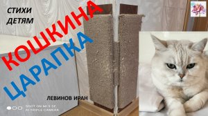 Кошкина царапка. Здорово придумано. И сколько их разных. Стихи детям с заботой о животных.