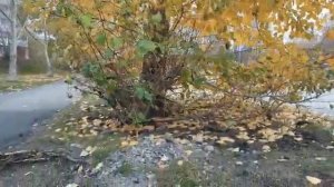 Разворот улица Водная. Экзаменационный маршрут ГИБДД на Химмаше. Инструктор по вождению Екатеринбур