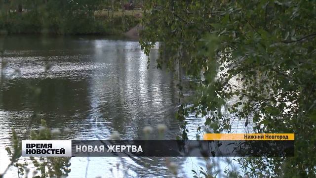 Нижегородец утонул в озере на Щелоковском хуторе Нижнего Новгорода