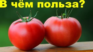 В чём польза помидоров для организма человека?