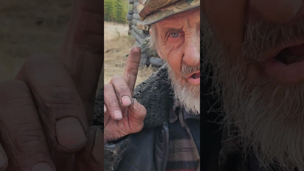ОТ КОРОВКИ РОДИТСЯ ТЕЛЁНОЧЕК#жизньвтайге #отшельник #тайга